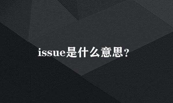 issue是什么意思？