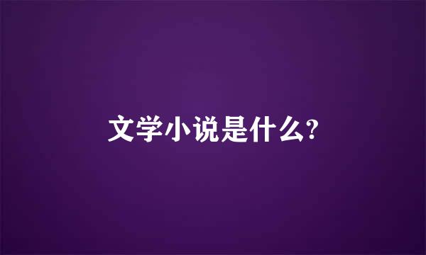 文学小说是什么?