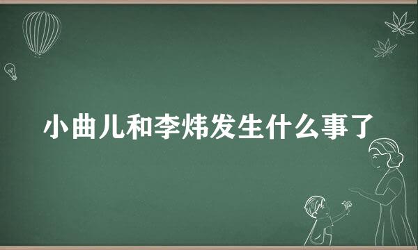 小曲儿和李炜发生什么事了