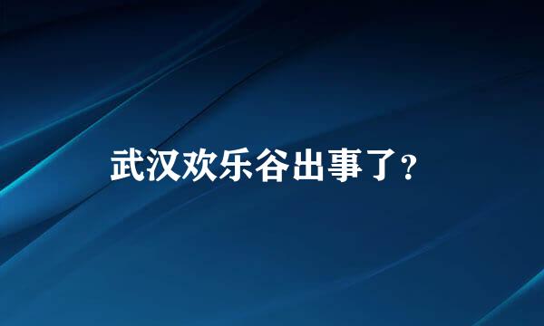 武汉欢乐谷出事了？