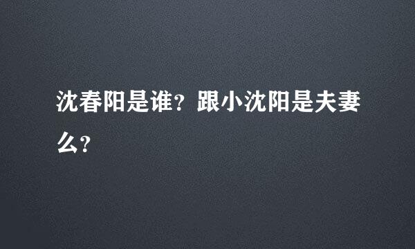 沈春阳是谁？跟小沈阳是夫妻么？