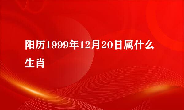 阳历1999年12月20日属什么生肖