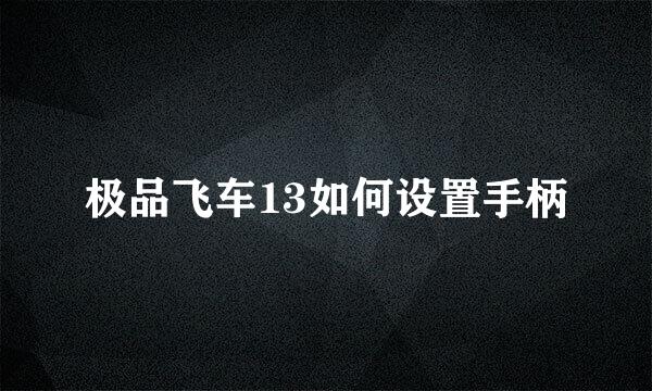 极品飞车13如何设置手柄