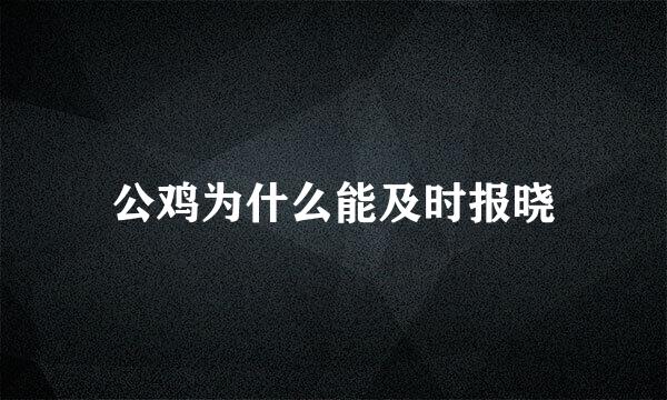 公鸡为什么能及时报晓