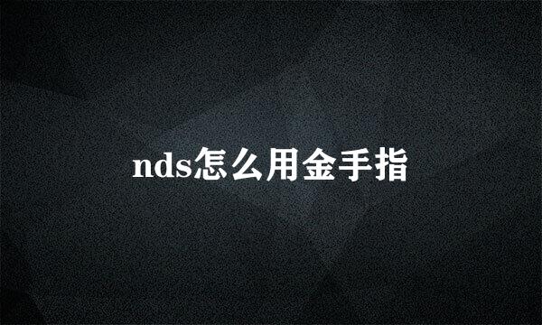 nds怎么用金手指