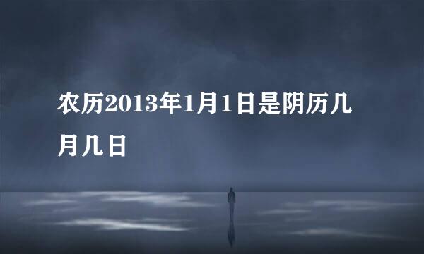 农历2013年1月1日是阴历几月几日