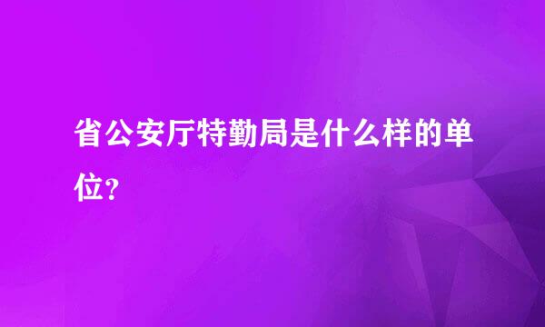 省公安厅特勤局是什么样的单位？