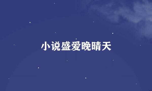 小说盛爱晚晴天