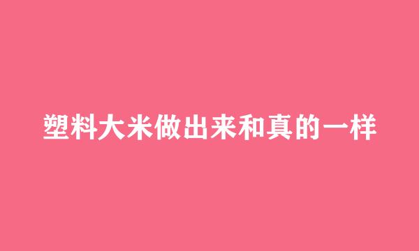 塑料大米做出来和真的一样