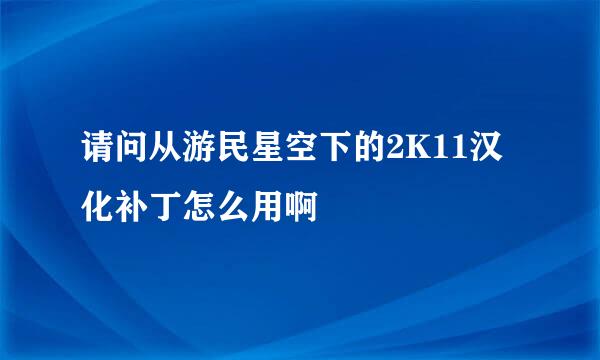 请问从游民星空下的2K11汉化补丁怎么用啊