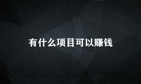 有什么项目可以赚钱