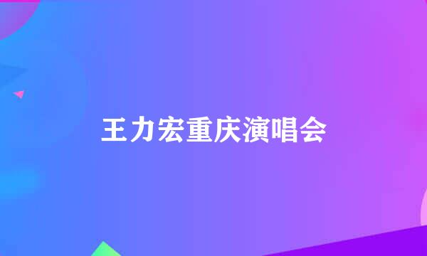 王力宏重庆演唱会