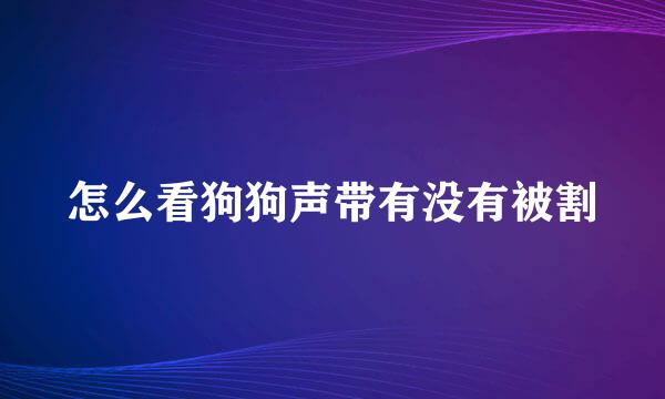 怎么看狗狗声带有没有被割