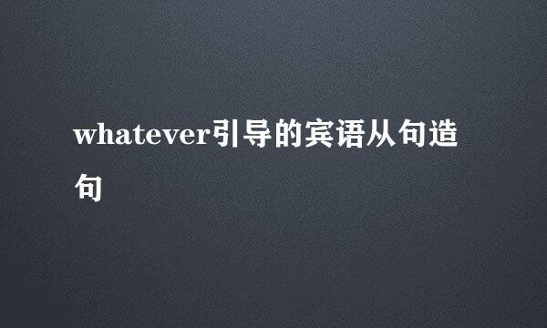 whatever引导的宾语从句造句