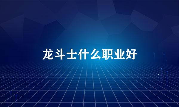 龙斗士什么职业好