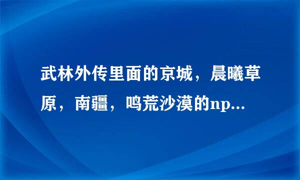 武林外传里面的京城，晨曦草原，南疆，鸣荒沙漠的npc路人甲分别在什么地方？