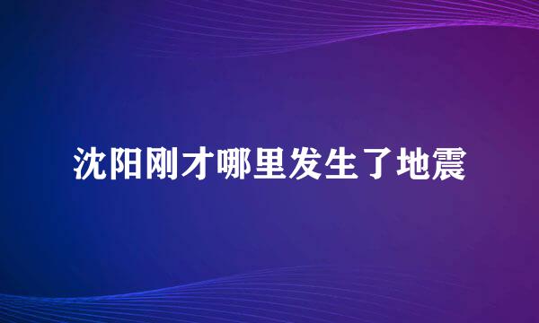 沈阳刚才哪里发生了地震