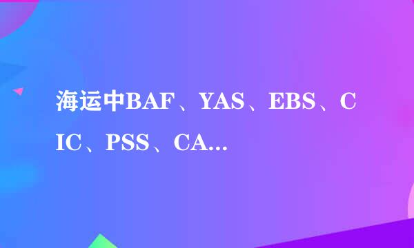 海运中BAF、YAS、EBS、CIC、PSS、CAF、ECRS分别是什么意思？越详细越好！