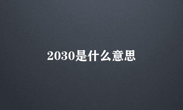 2030是什么意思