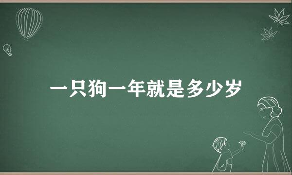 一只狗一年就是多少岁