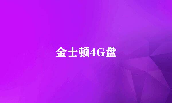 金士顿4G盘