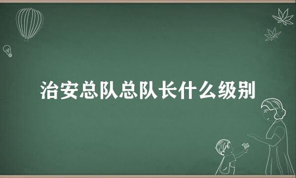 治安总队总队长什么级别