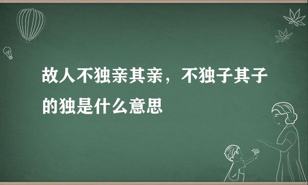 故人不独亲其亲，不独子其子的独是什么意思