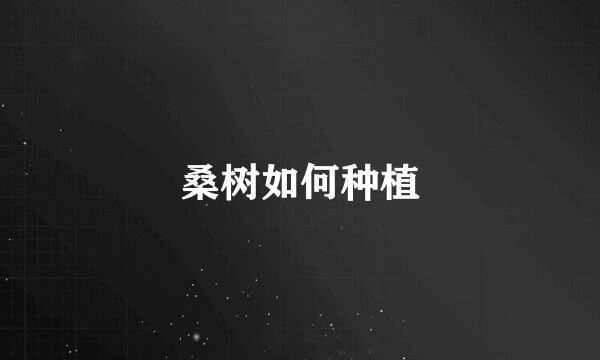 桑树如何种植