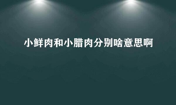 小鲜肉和小腊肉分别啥意思啊