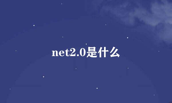 net2.0是什么