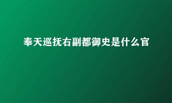 奉天巡抚右副都御史是什么官