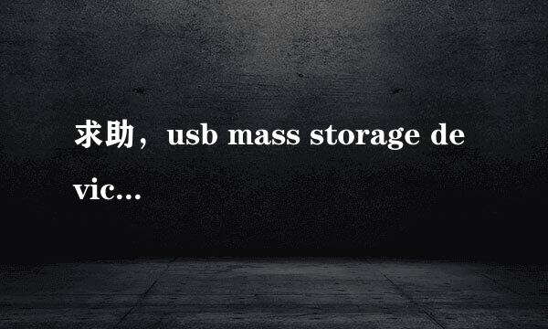 求助，usb mass storage device无法启用