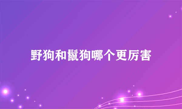 野狗和鬣狗哪个更厉害