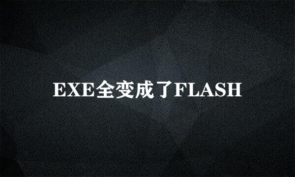 EXE全变成了FLASH