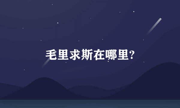 毛里求斯在哪里?