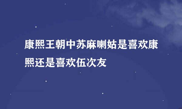 康熙王朝中苏麻喇姑是喜欢康熙还是喜欢伍次友