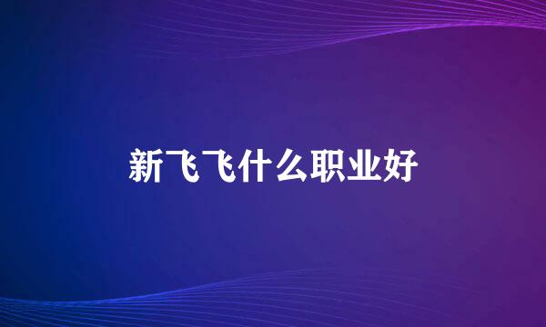 新飞飞什么职业好