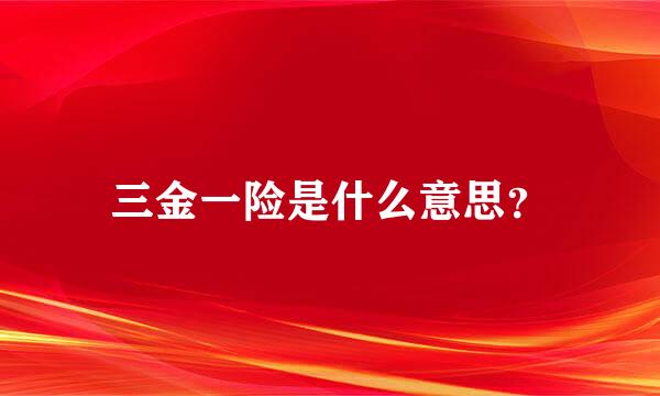 三金一险是什么意思？