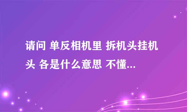 请问 单反相机里 拆机头挂机头 各是什么意思 不懂 请教~~~~