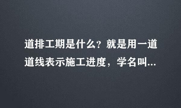 道排工期是什么？就是用一道道线表示施工进度，学名叫什么？怎么搜不到？