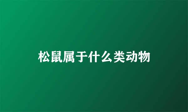 松鼠属于什么类动物