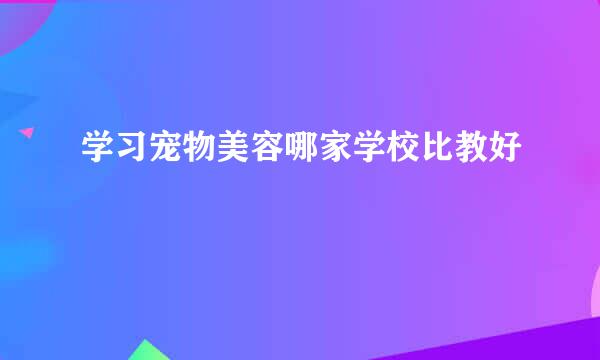 学习宠物美容哪家学校比教好