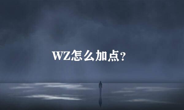 WZ怎么加点？