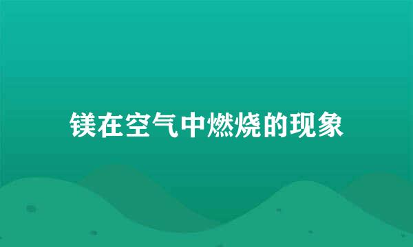 镁在空气中燃烧的现象