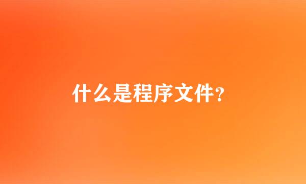 什么是程序文件？