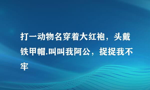 打一动物名穿着大红袍，头戴铁甲帽.叫叫我阿公，捉捉我不牢