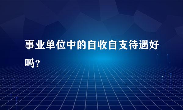 事业单位中的自收自支待遇好吗？