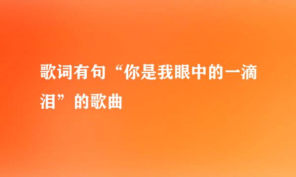 歌词有句“你是我眼中的一滴泪”的歌曲