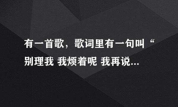 有一首歌，歌词里有一句叫“别理我 我烦着呢 我再说一遍”，这首歌叫什么名字？