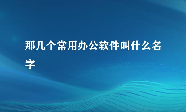 那几个常用办公软件叫什么名字